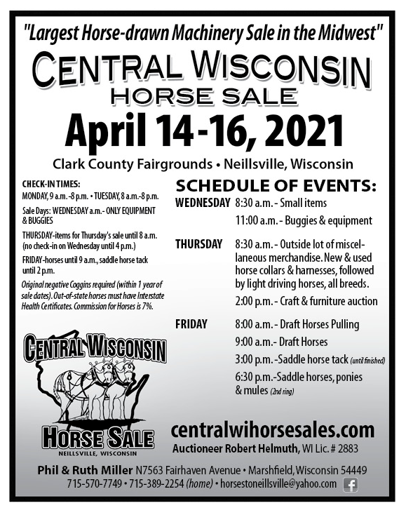 Central Wisconsin Horse Sales